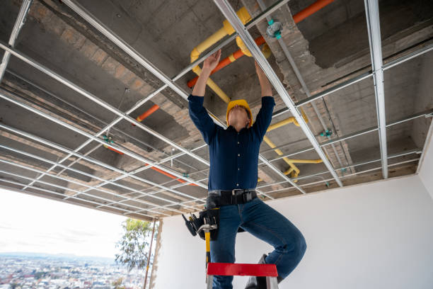Best 24-Hour Plumber Near Me  in Warren, MI